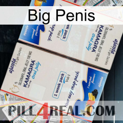 Big Penis kamagra1